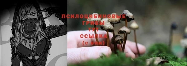 a pvp Белокуриха