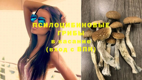 a pvp Белокуриха