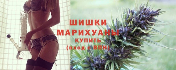 сатива Беломорск