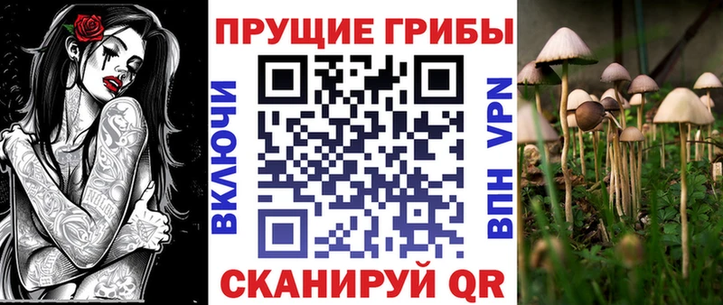 Галлюциногенные грибы MAGIC MUSHROOMS  Вяземский 